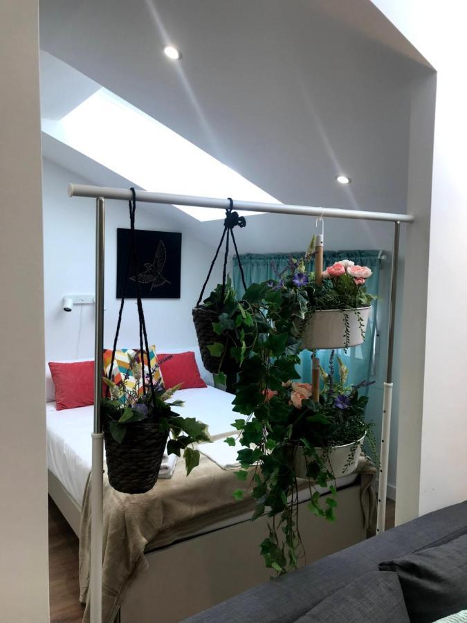 Insidehome Apartments - La Casita De Ursula Palencia Kültér fotó